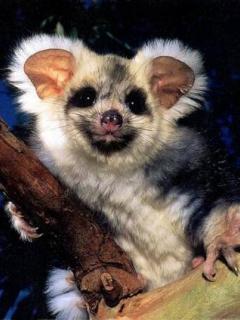 Other Wallpapers 0725